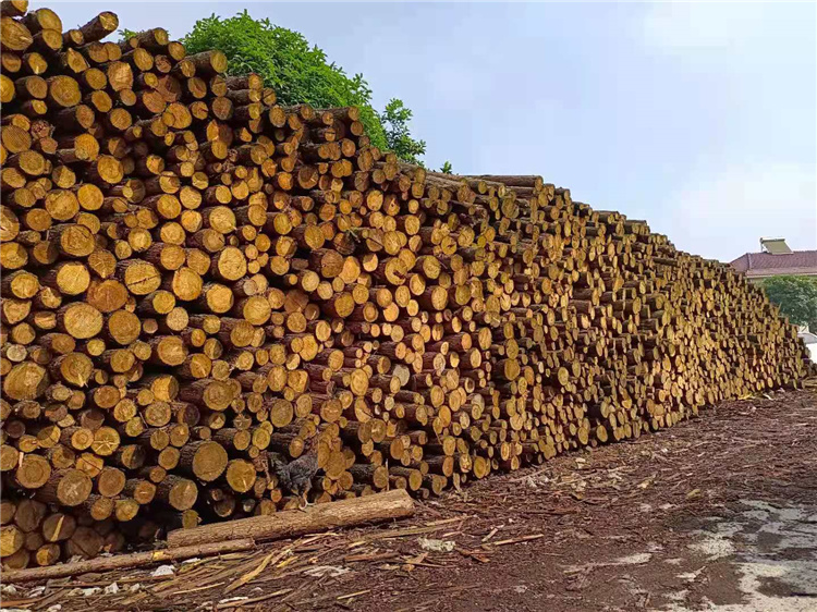 香杉木方批发工程木方厂家供应湖南工地建筑木方